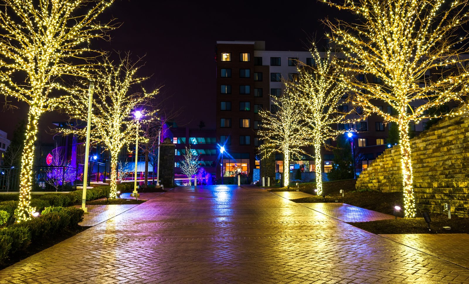 Commercial plaza walkway lined with trees wrapped in warm white lights