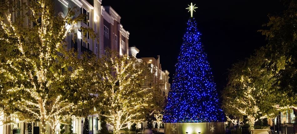 Blue-lit tree with a star topper in a community plaza